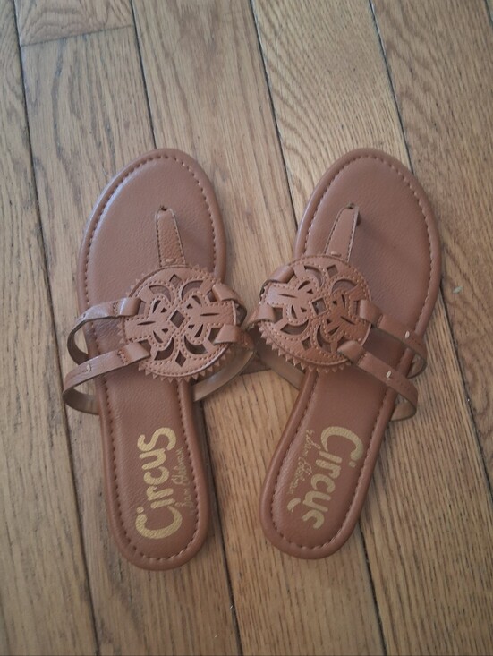 Circus by Sam Edelman Shoes - Canyon Brown Cutout Medallion Slide Sandals Circus By Sam Edelman
